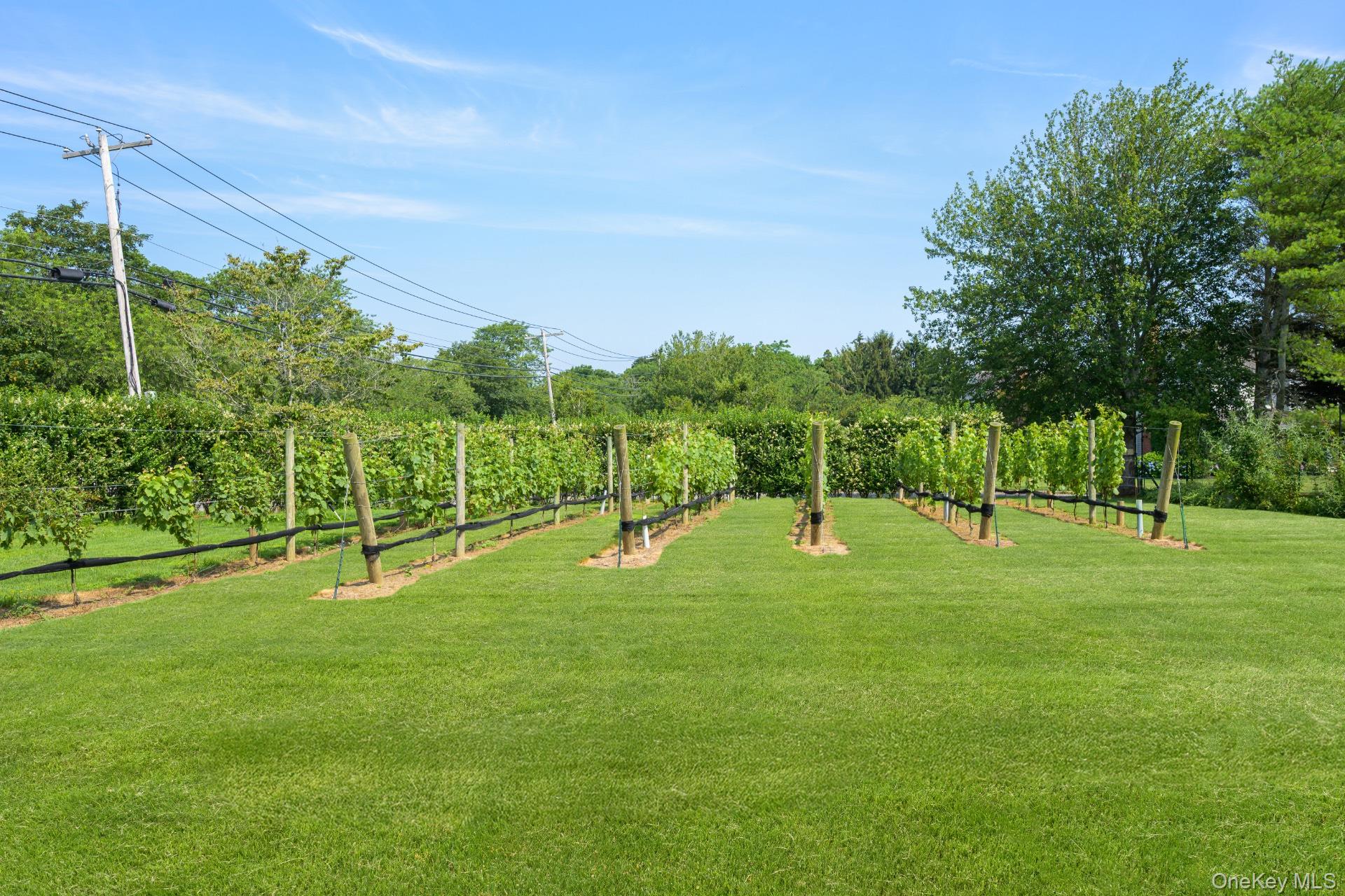 17 Clearview Farm Road, Southampton, NY 11968