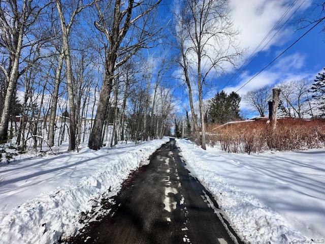 9 Elm Road, Wurtsboro, NY 12790