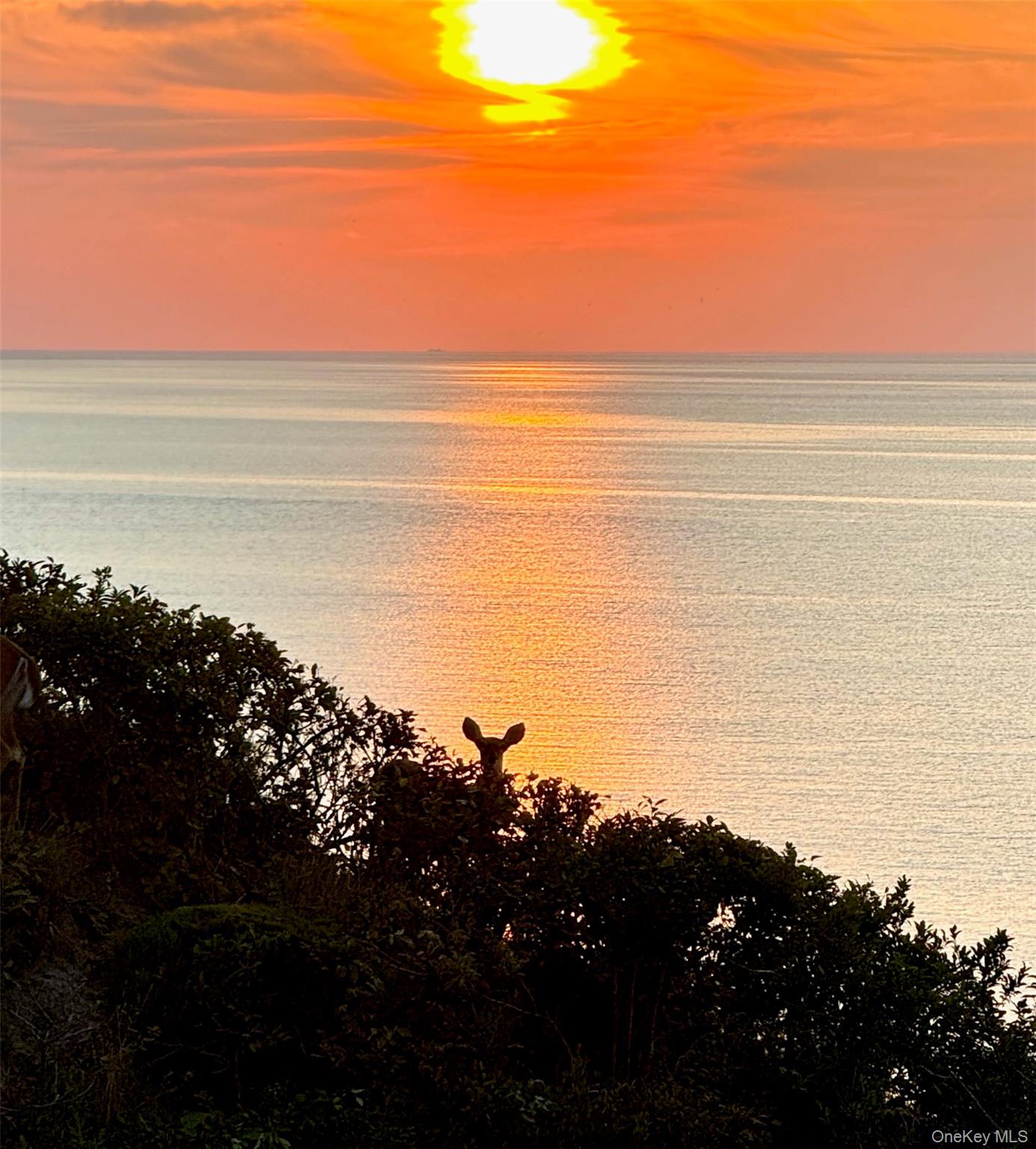 312 Fox Hill Drive, Baiting Hollow, NY 11933