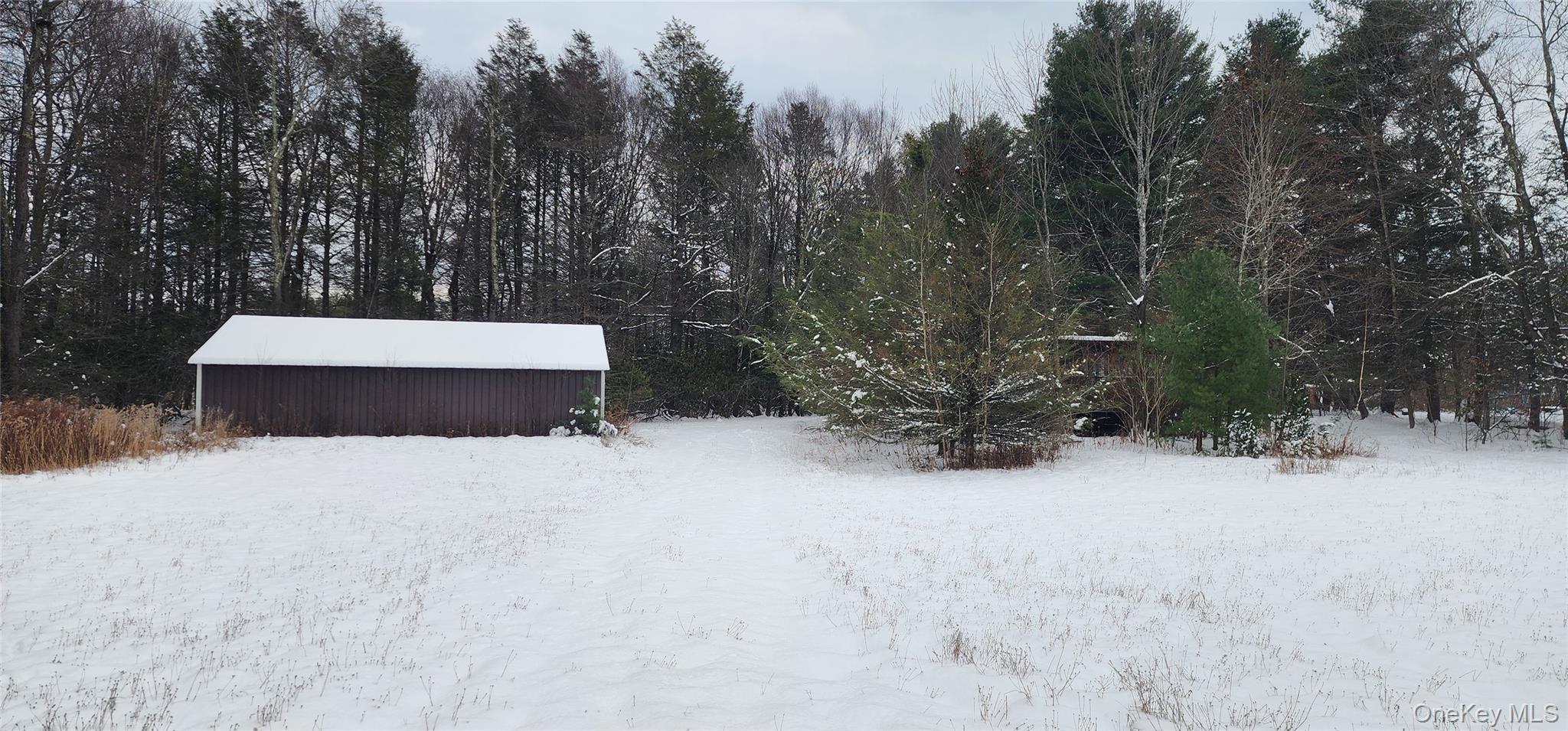 20 Hasbrouck A Road, Loch Sheldrake, NY 12759