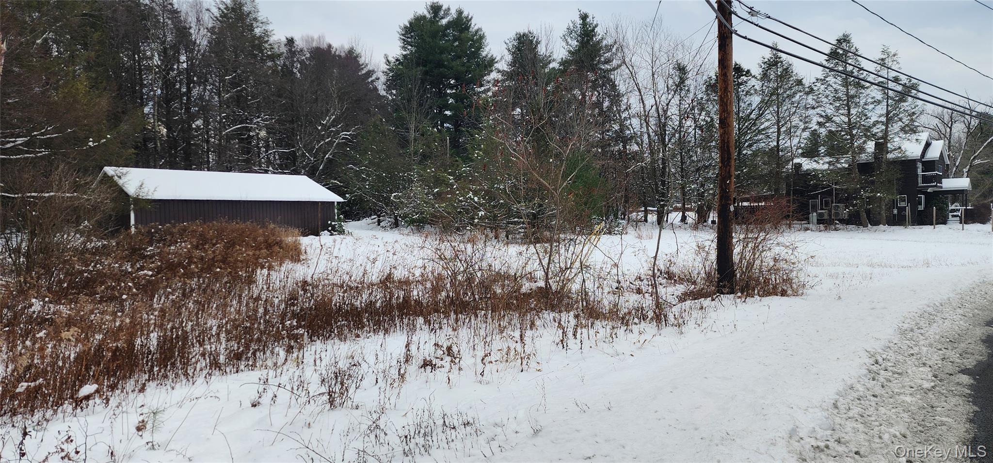 20 Hasbrouck A Road, Loch Sheldrake, NY 12759