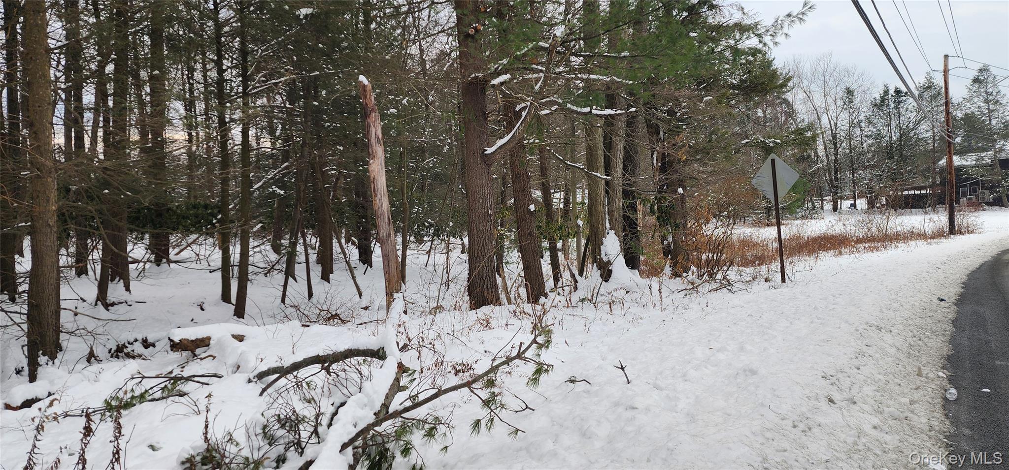 20 Hasbrouck A Road, Loch Sheldrake, NY 12759