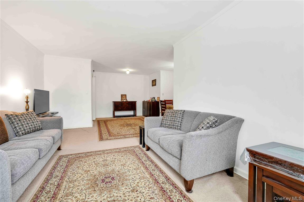 141-05 Pershing Crescent # 516, Briarwood, NY 11435