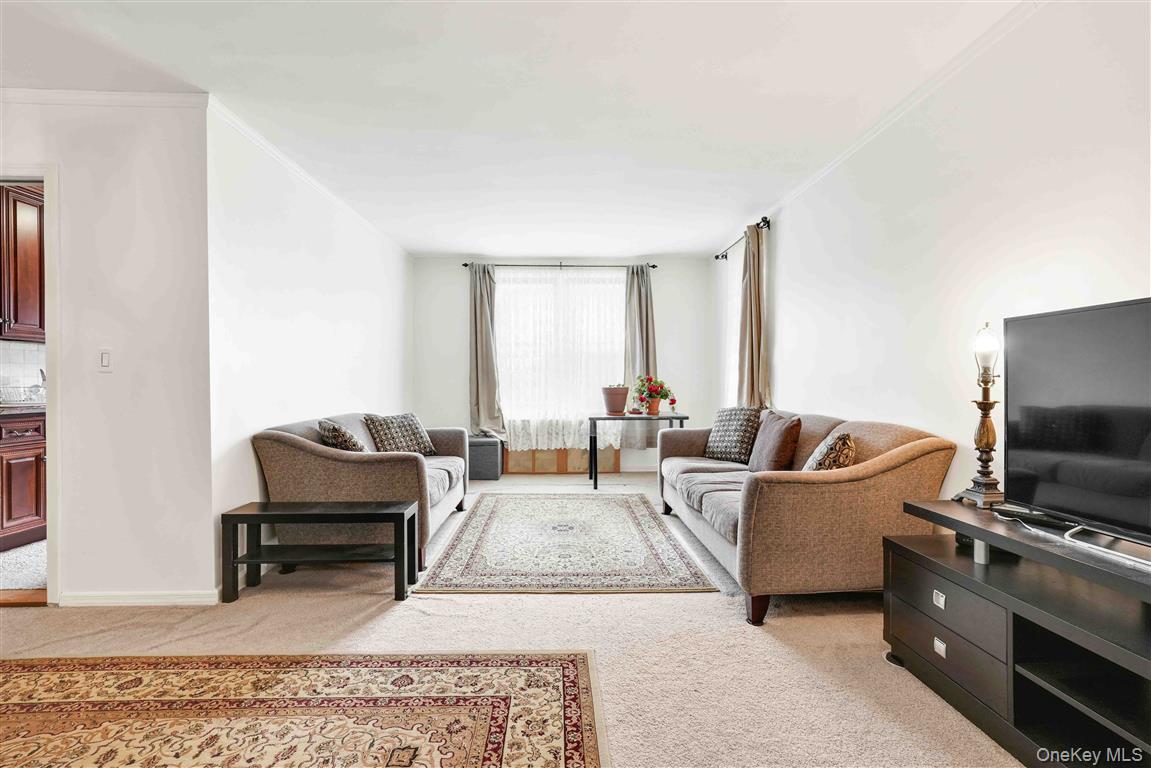 141-05 Pershing Crescent # 516, Briarwood, NY 11435