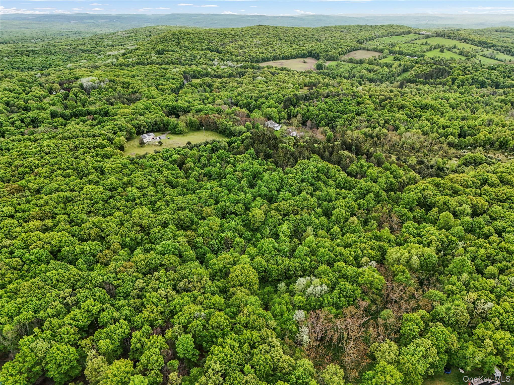 Quarfelt Road, Clinton Corners, NY 12514