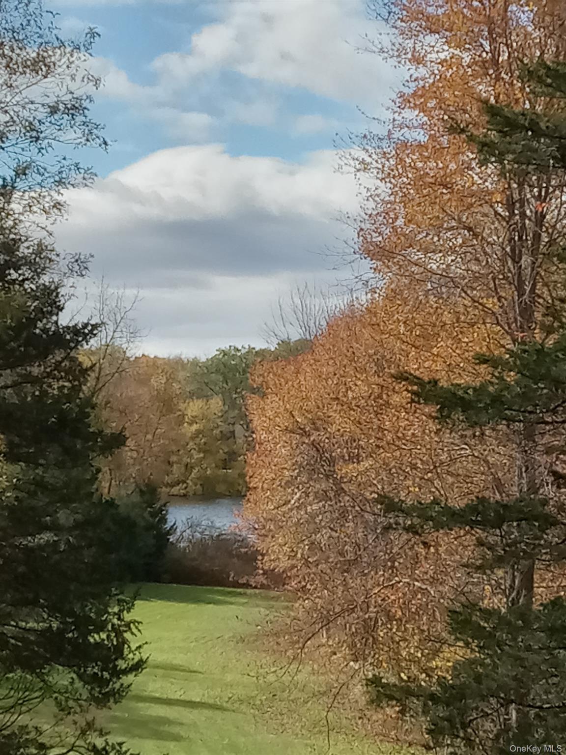 46 Patricia Lane, Clinton Corners, NY 12514