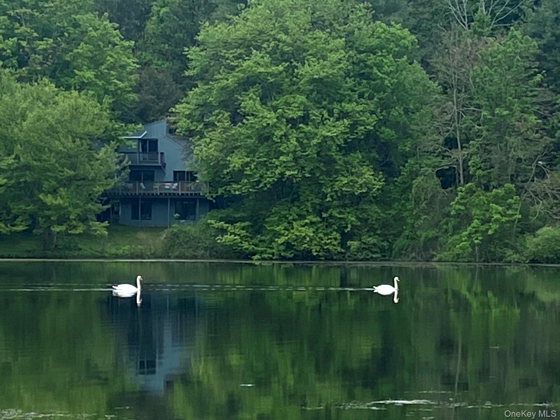 46 Patricia Lane, Clinton Corners, NY 12514