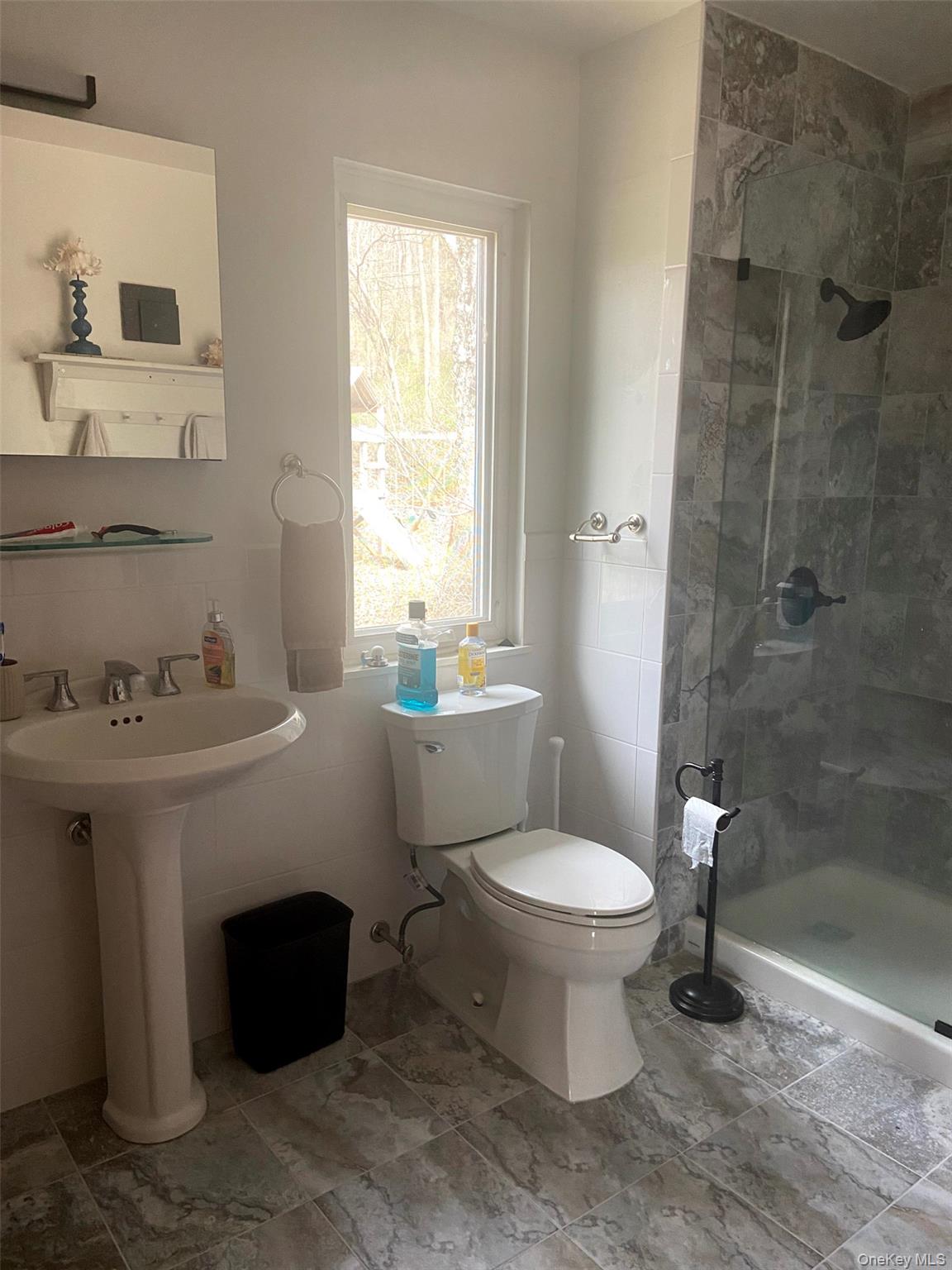 46 Patricia Lane, Clinton Corners, NY 12514