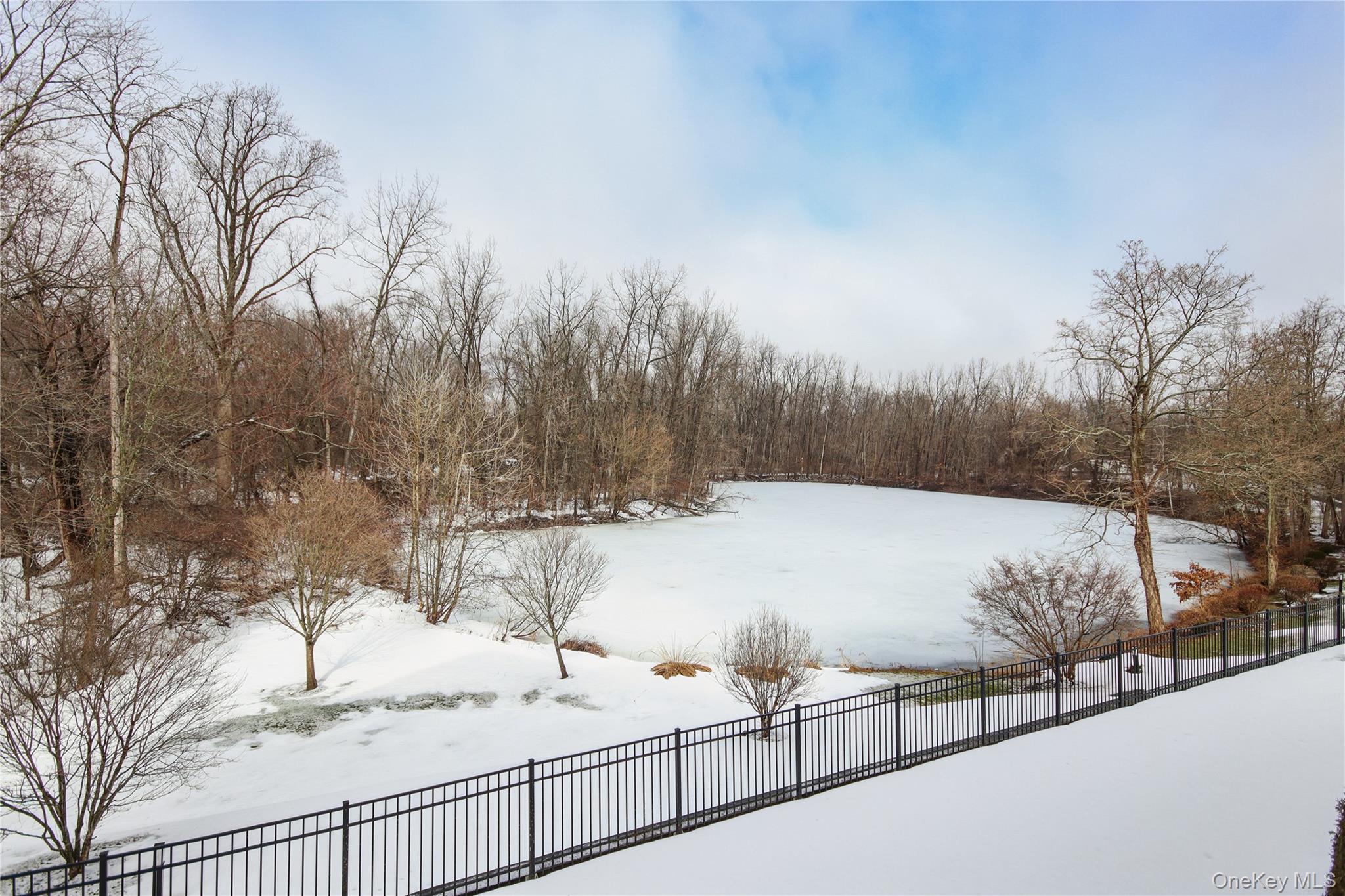 323 Regency Drive # 323, Fishkill, NY 12524