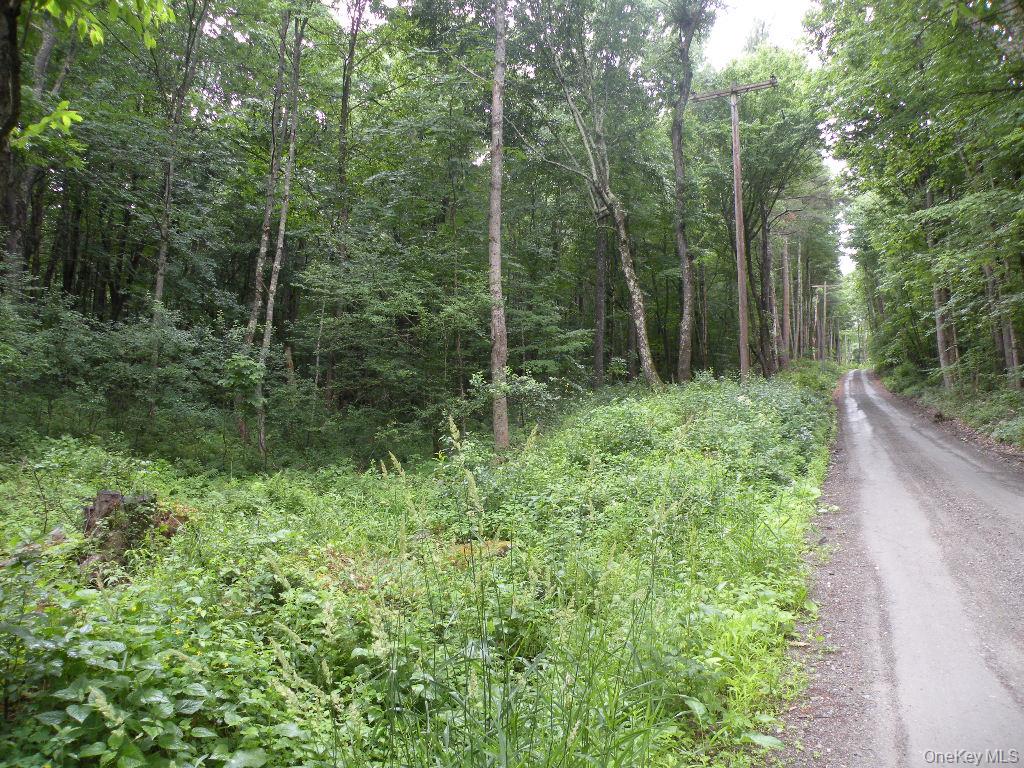 Frenchs Hill Rd, New Lebanon, NY 12125