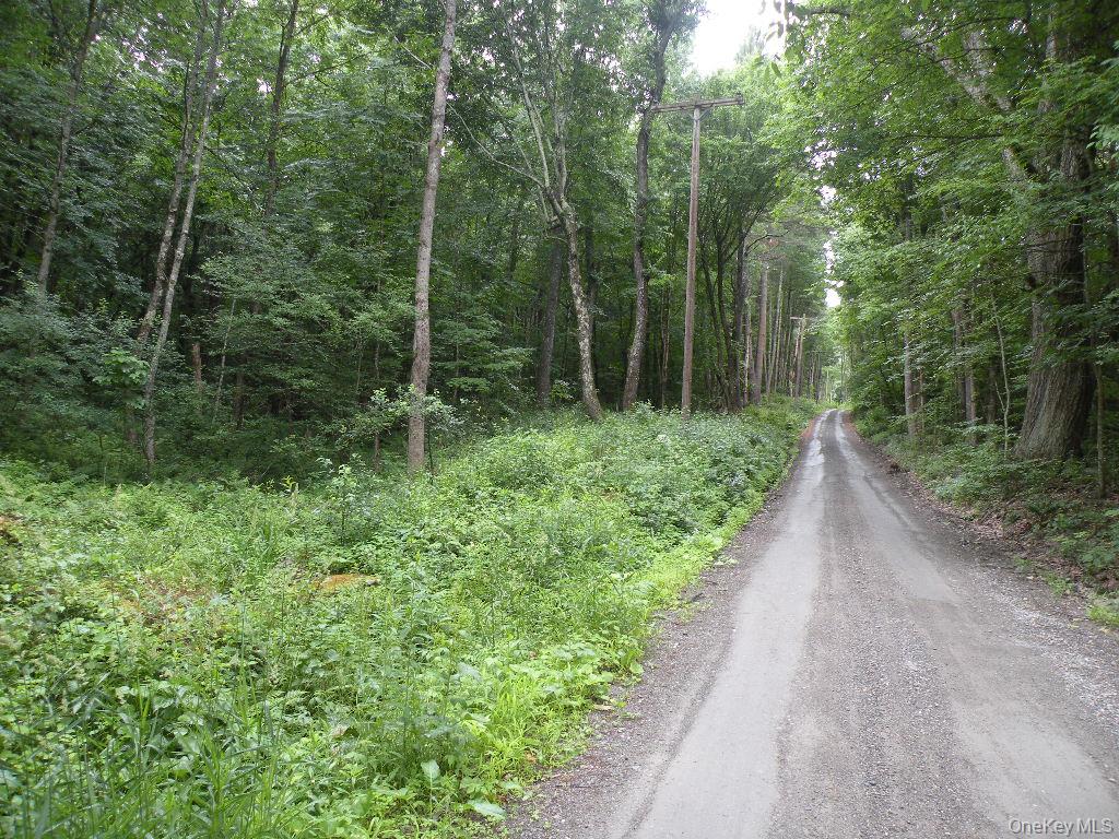 Frenchs Hill Rd, New Lebanon, NY 12125