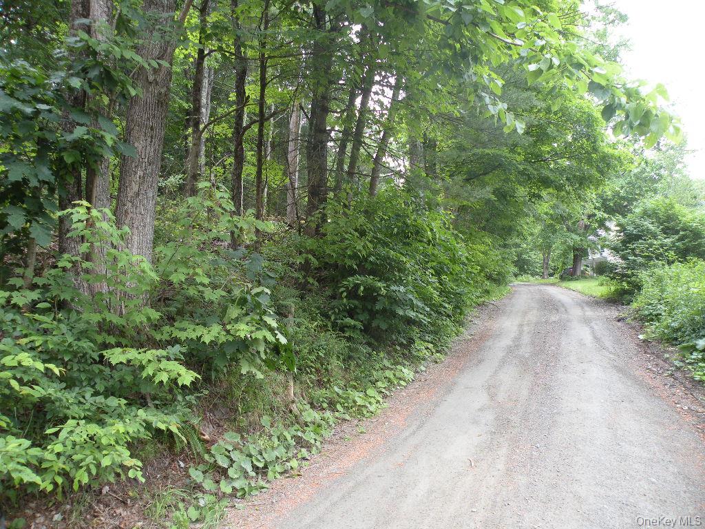 Frenchs Hill Rd, New Lebanon, NY 12125