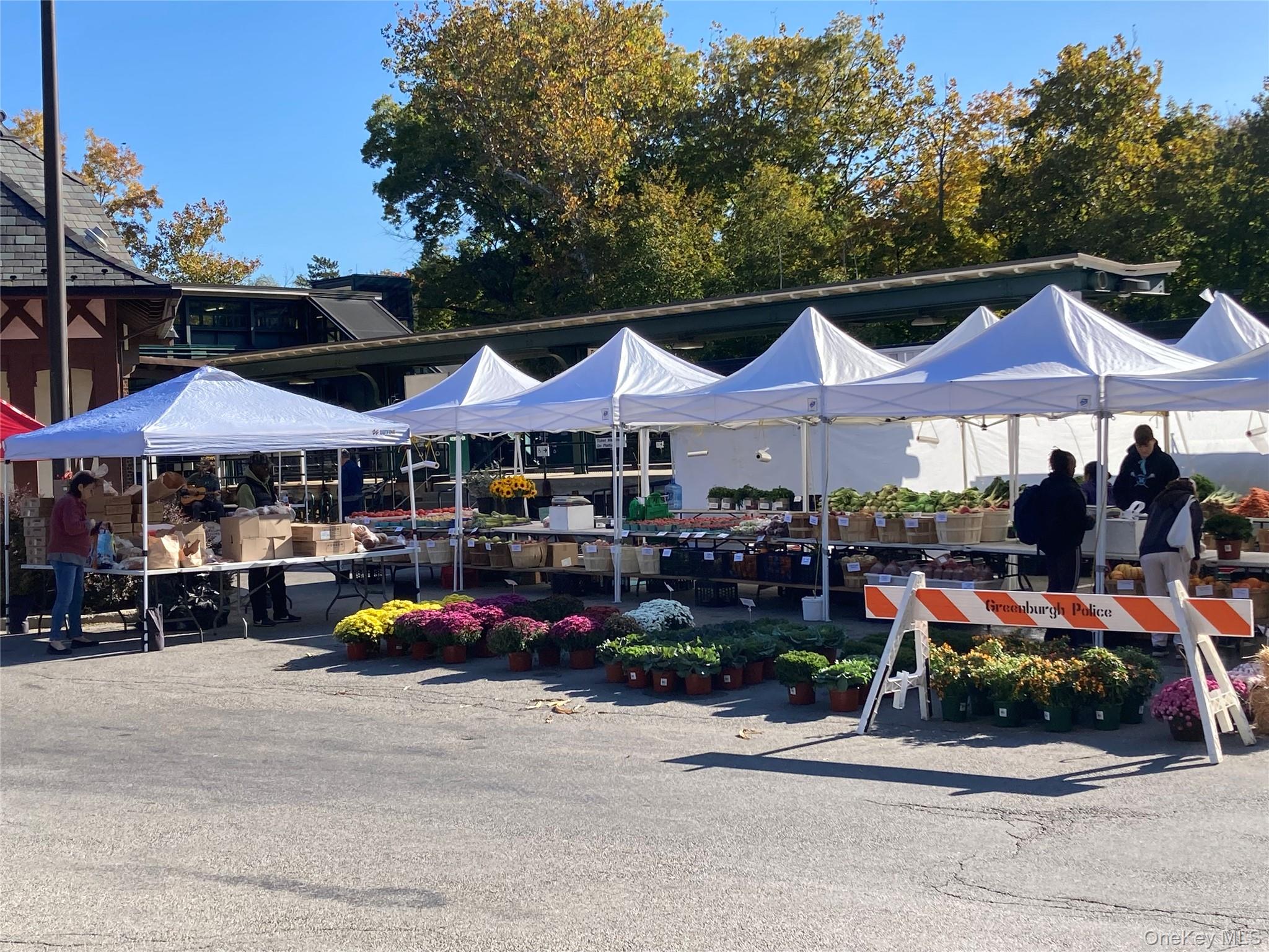 1 Fieldstone Drive # 76, Hartsdale, NY 10530