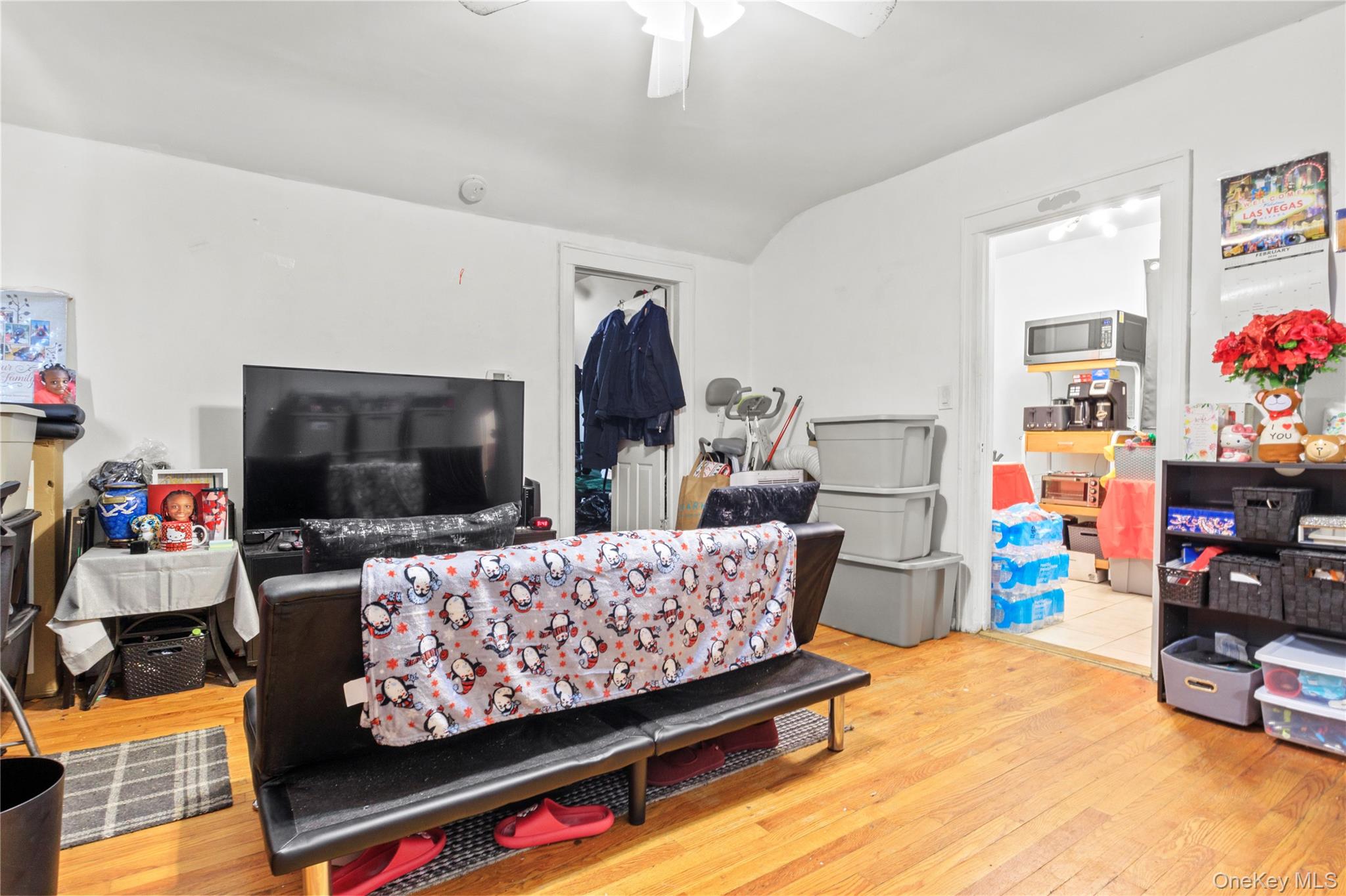 18216 141st Avenue, Springfield Gardens, NY 11413