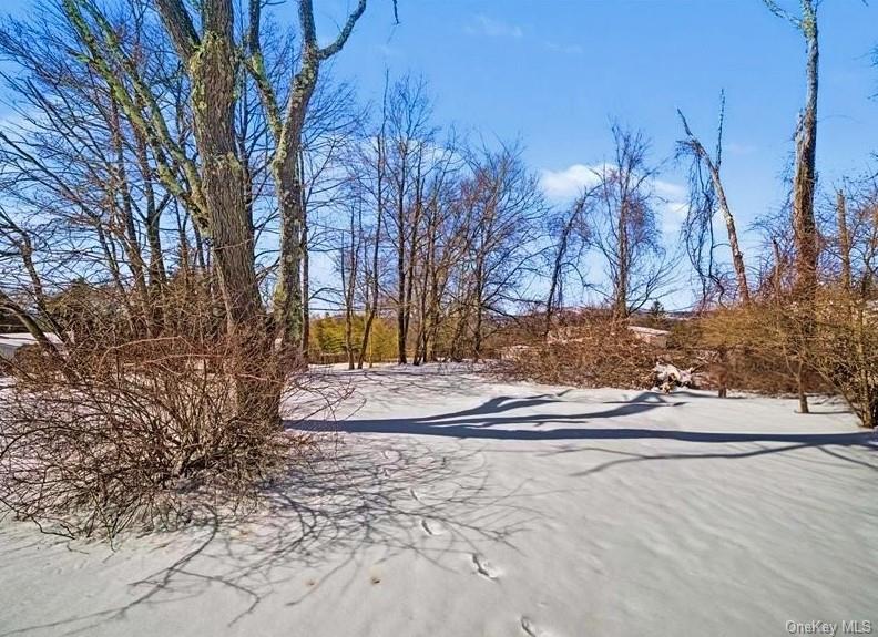 4 Maple Lane, Monroe, NY 10950