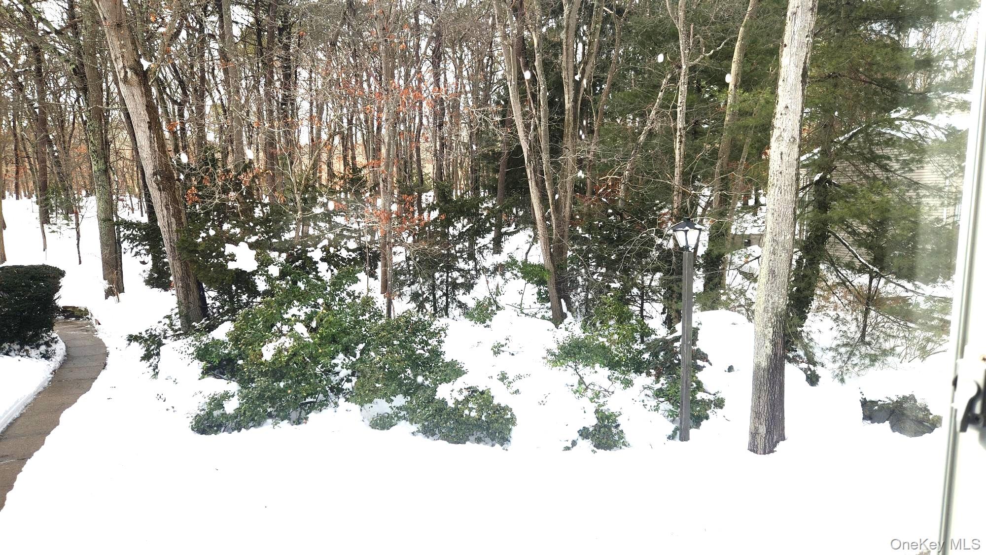 224 H Springmeadow Drive # H, Holbrook, NY 11741