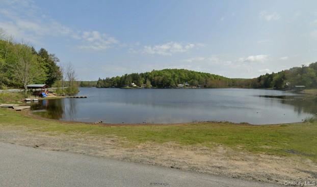 24 COMBS ROADWAY, Other, NY 12850