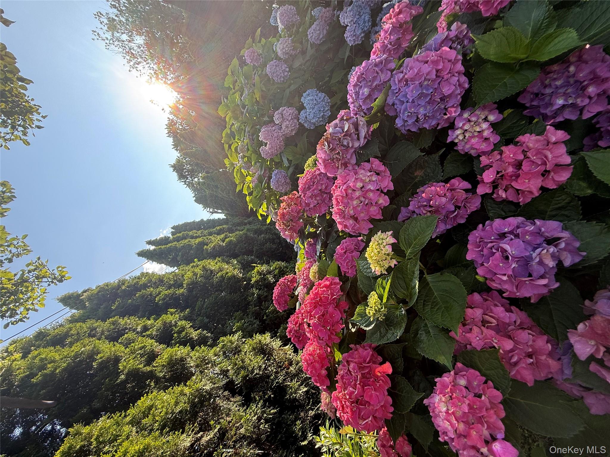 922 Leeds Drive, North Bellmore, NY 11710