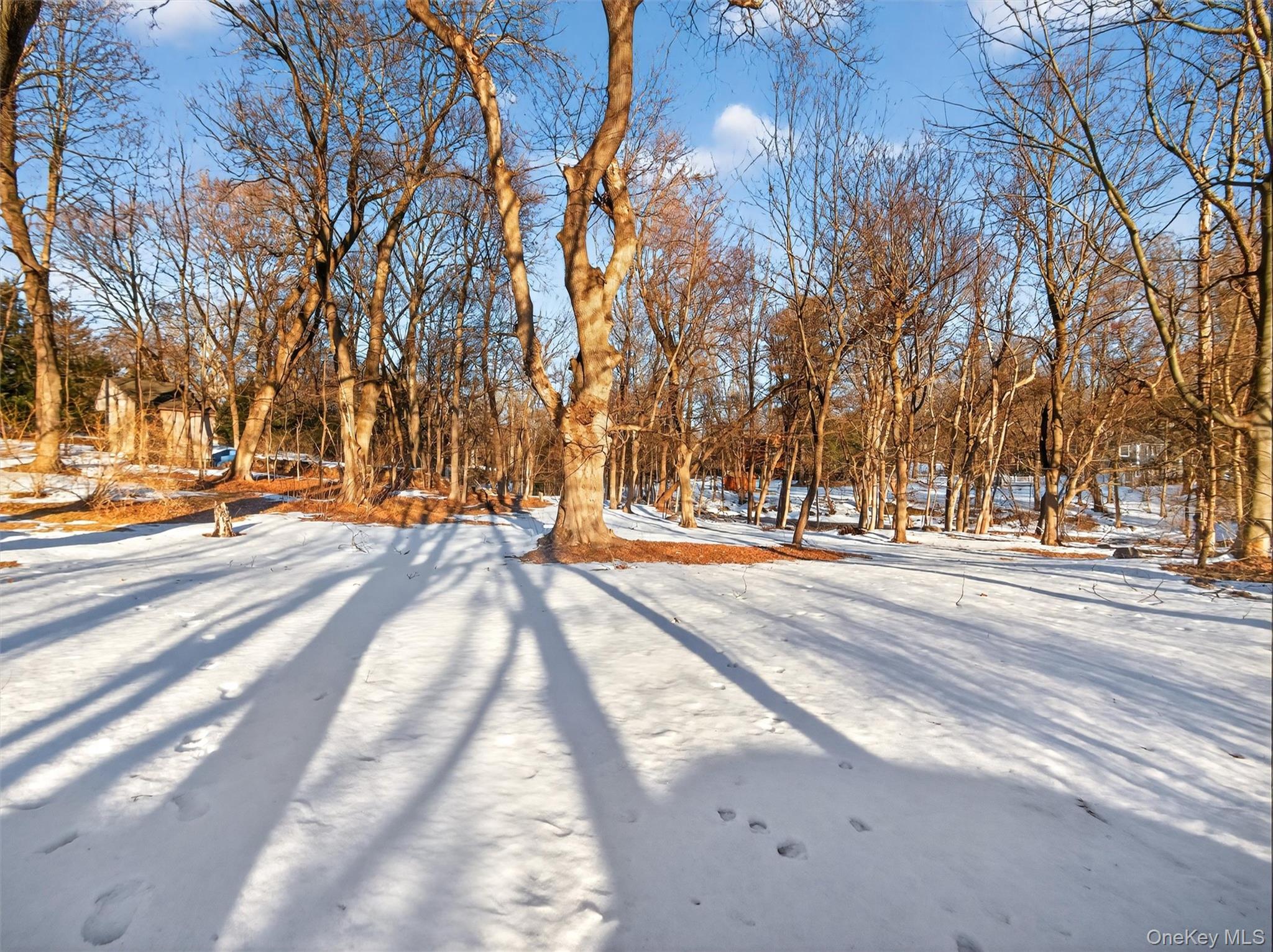 325 Haverstraw Road, Montebello, NY 10901