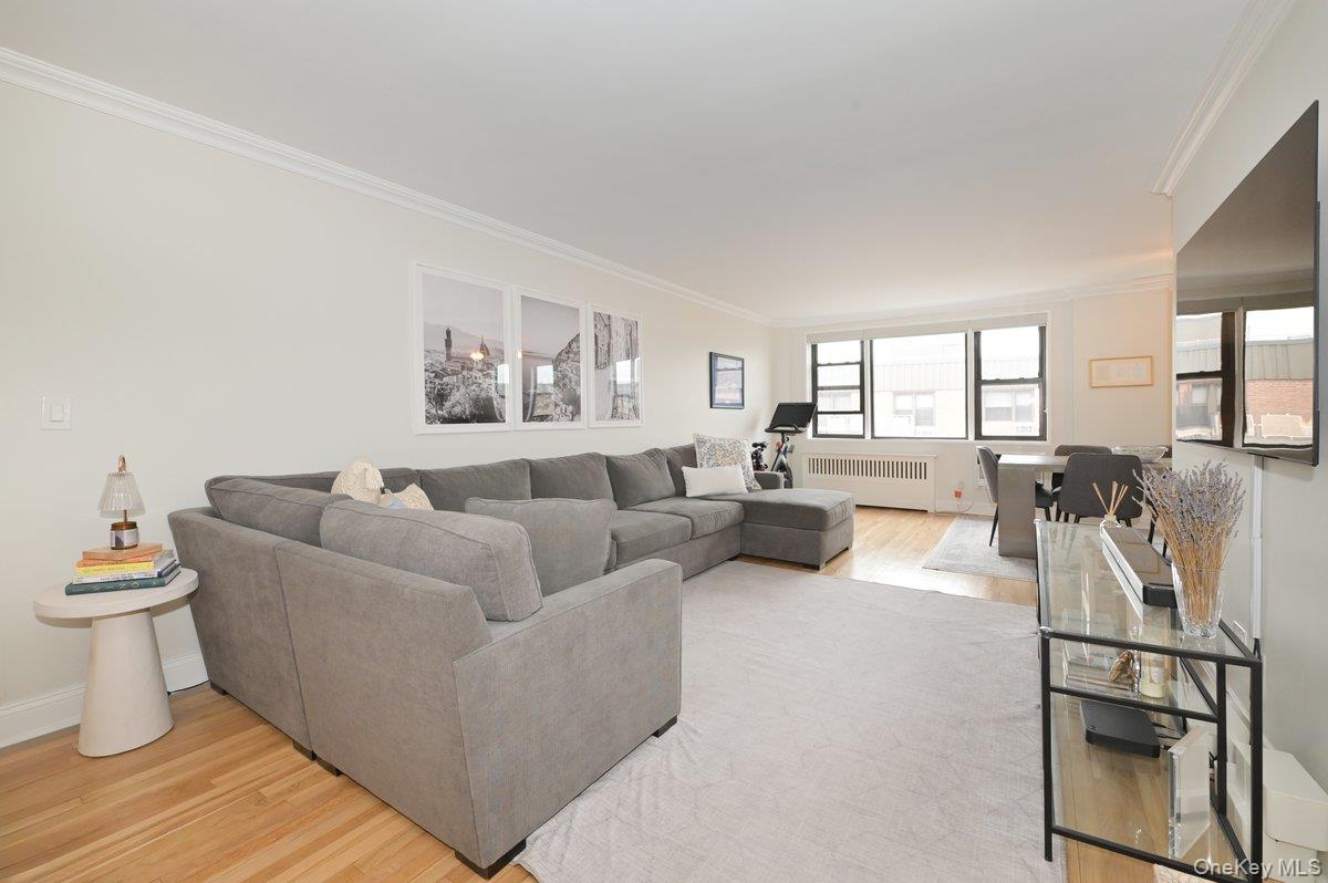 5 Birchwood Court # 5J, Mineola, NY 11501