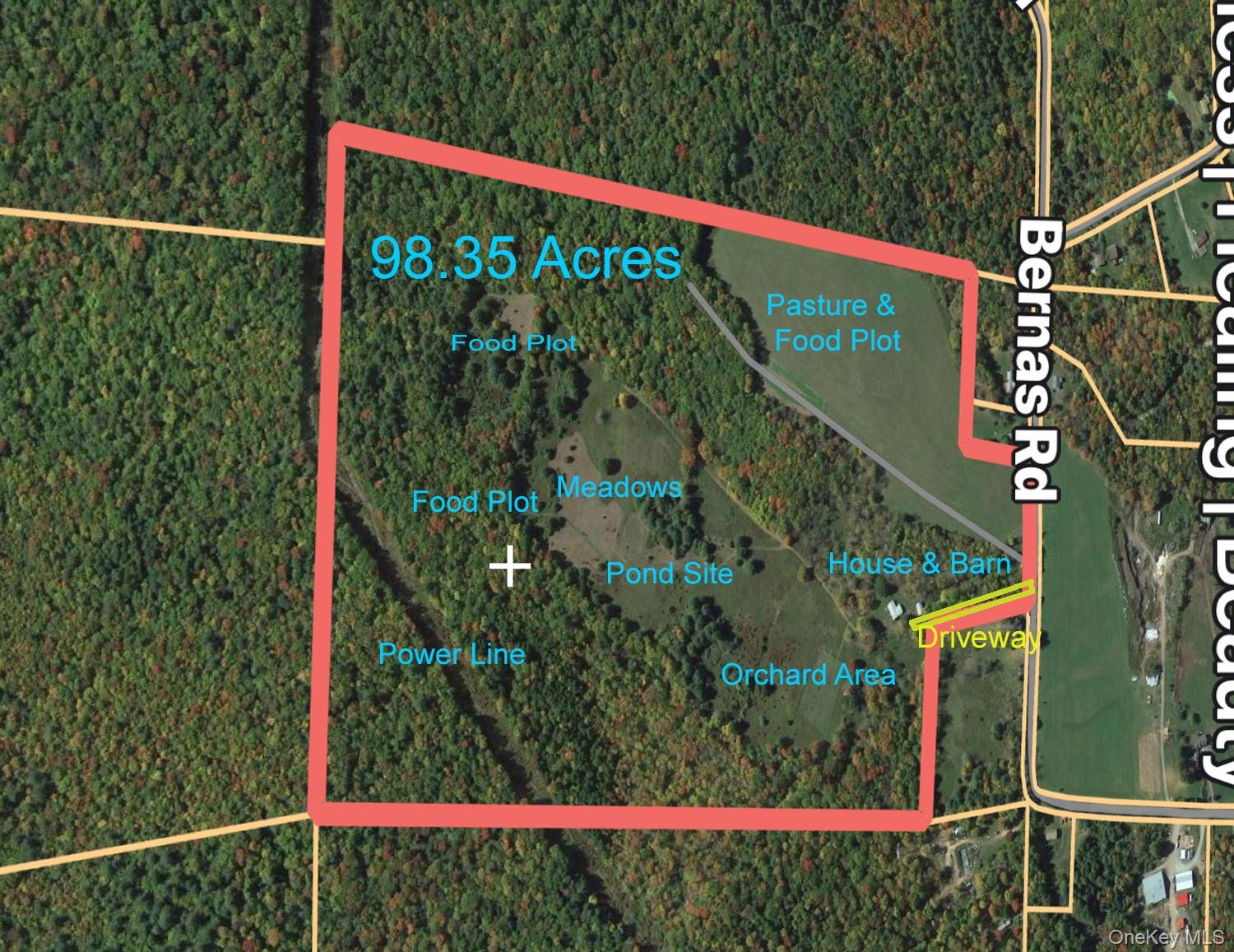 342 Bernas Road, Cochecton, NY 12726