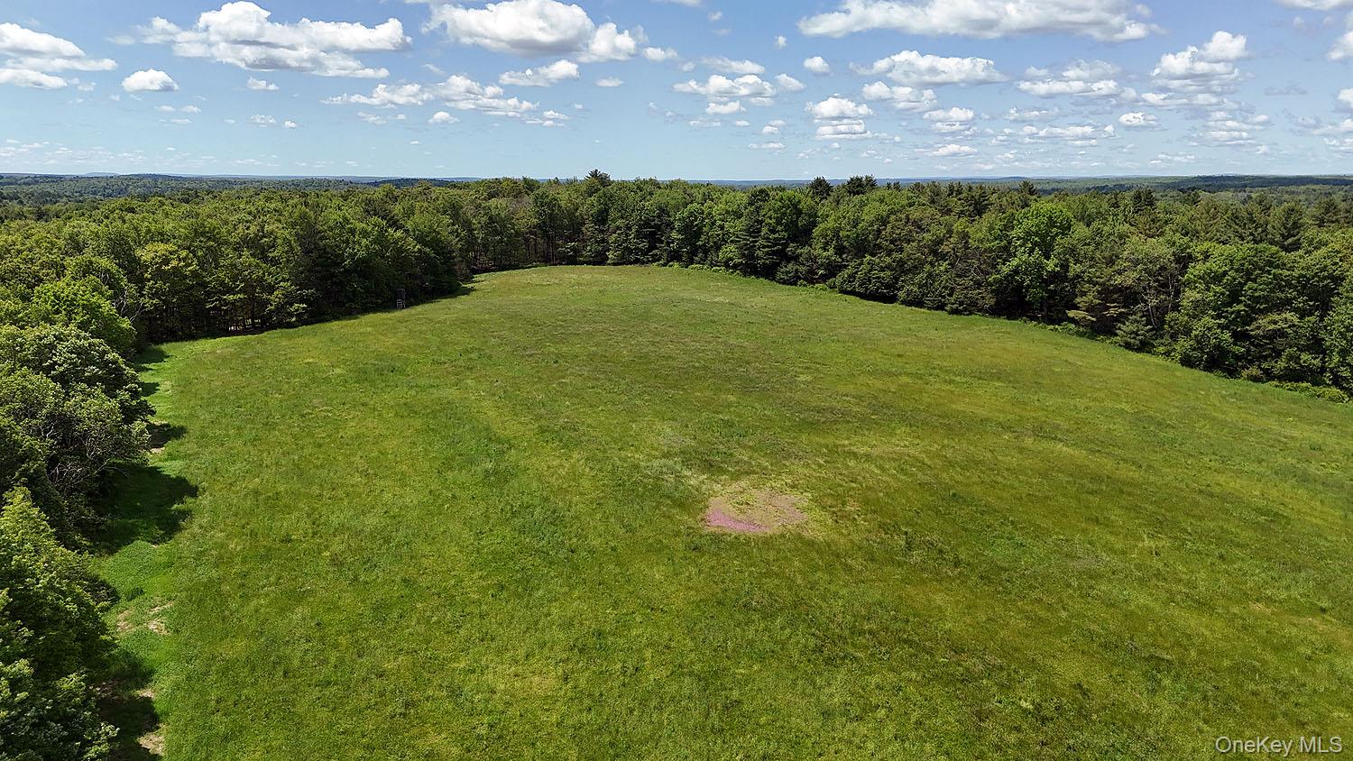 342 Bernas Road, Cochecton, NY 12726