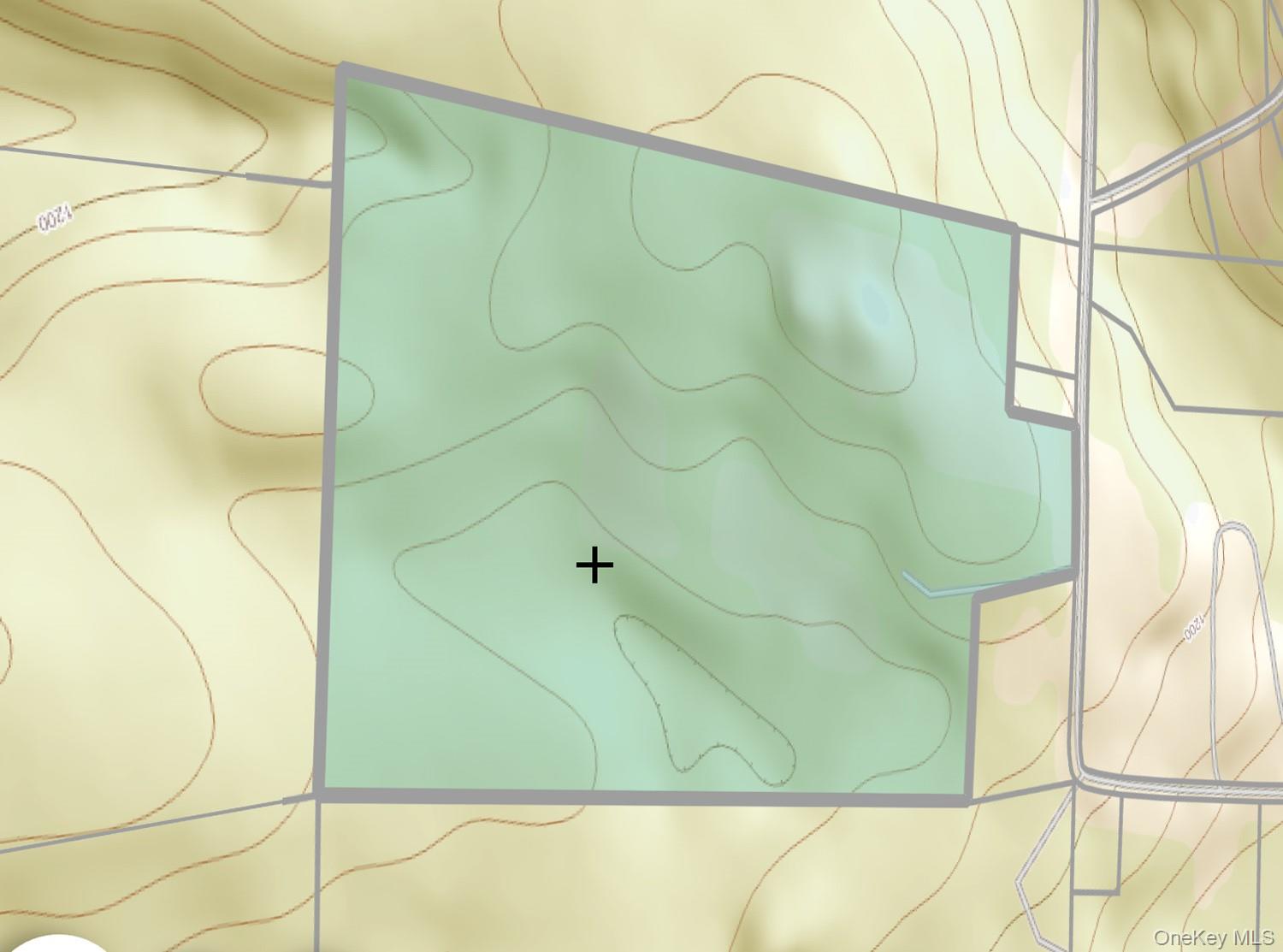 342 Bernas Road, Cochecton, NY 12726