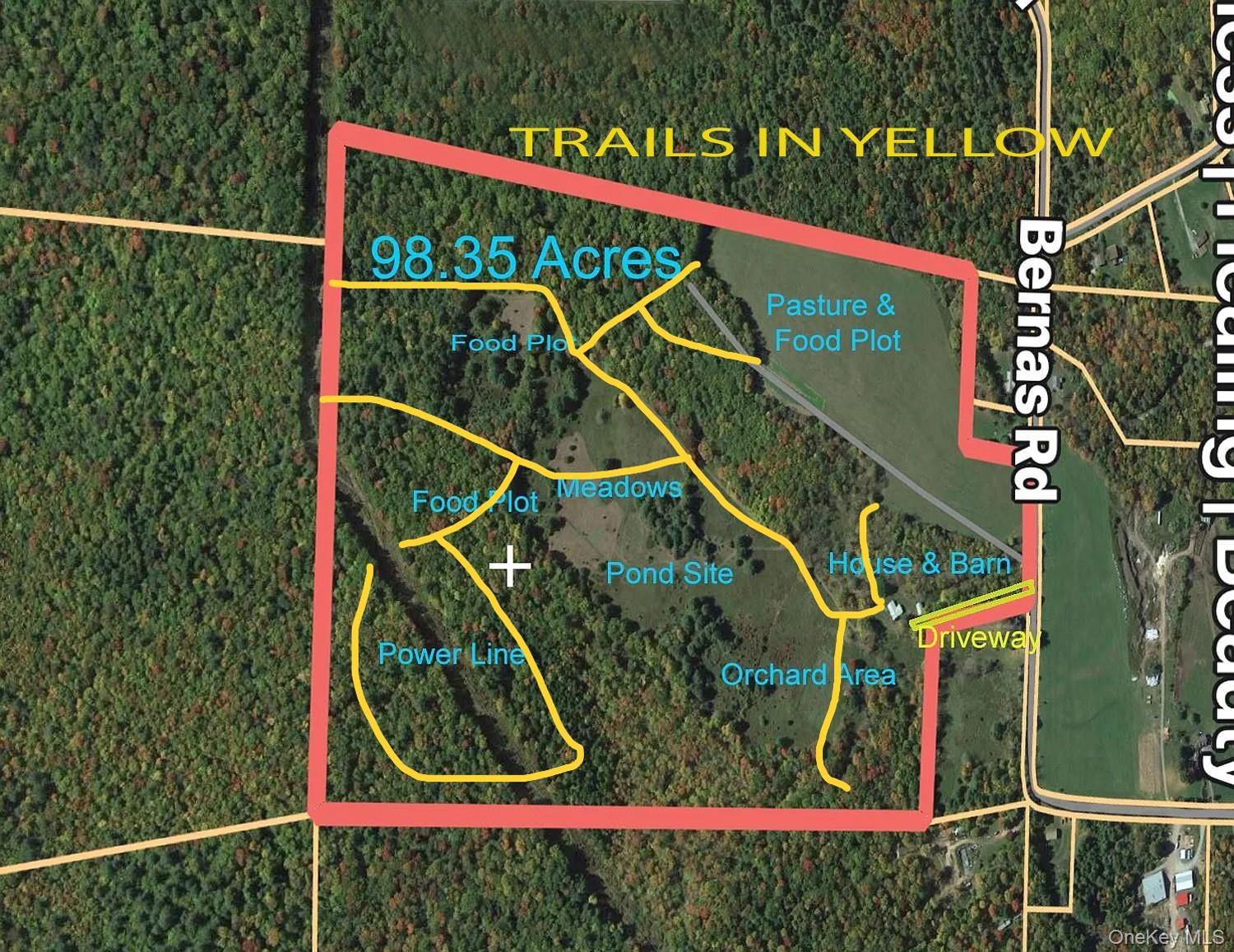 342 Bernas Road, Cochecton, NY 12726