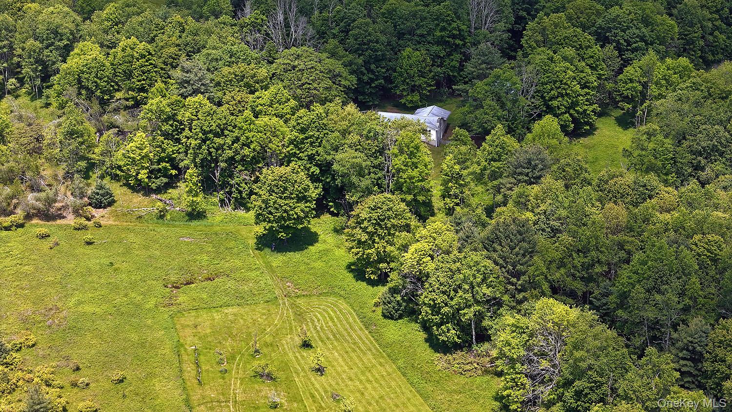 342 Bernas Road, Cochecton, NY 12726