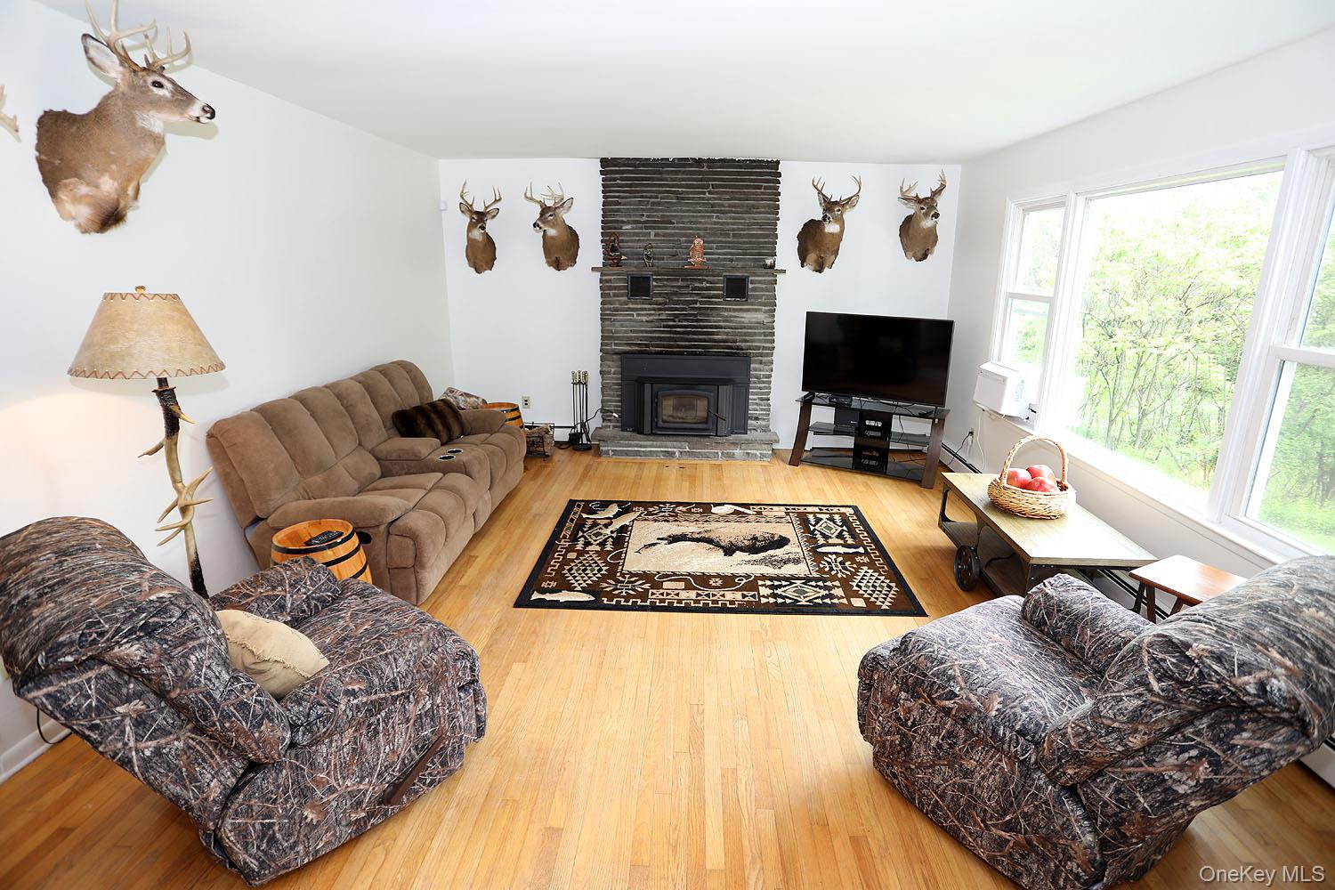 342 Bernas Road, Cochecton, NY 12726