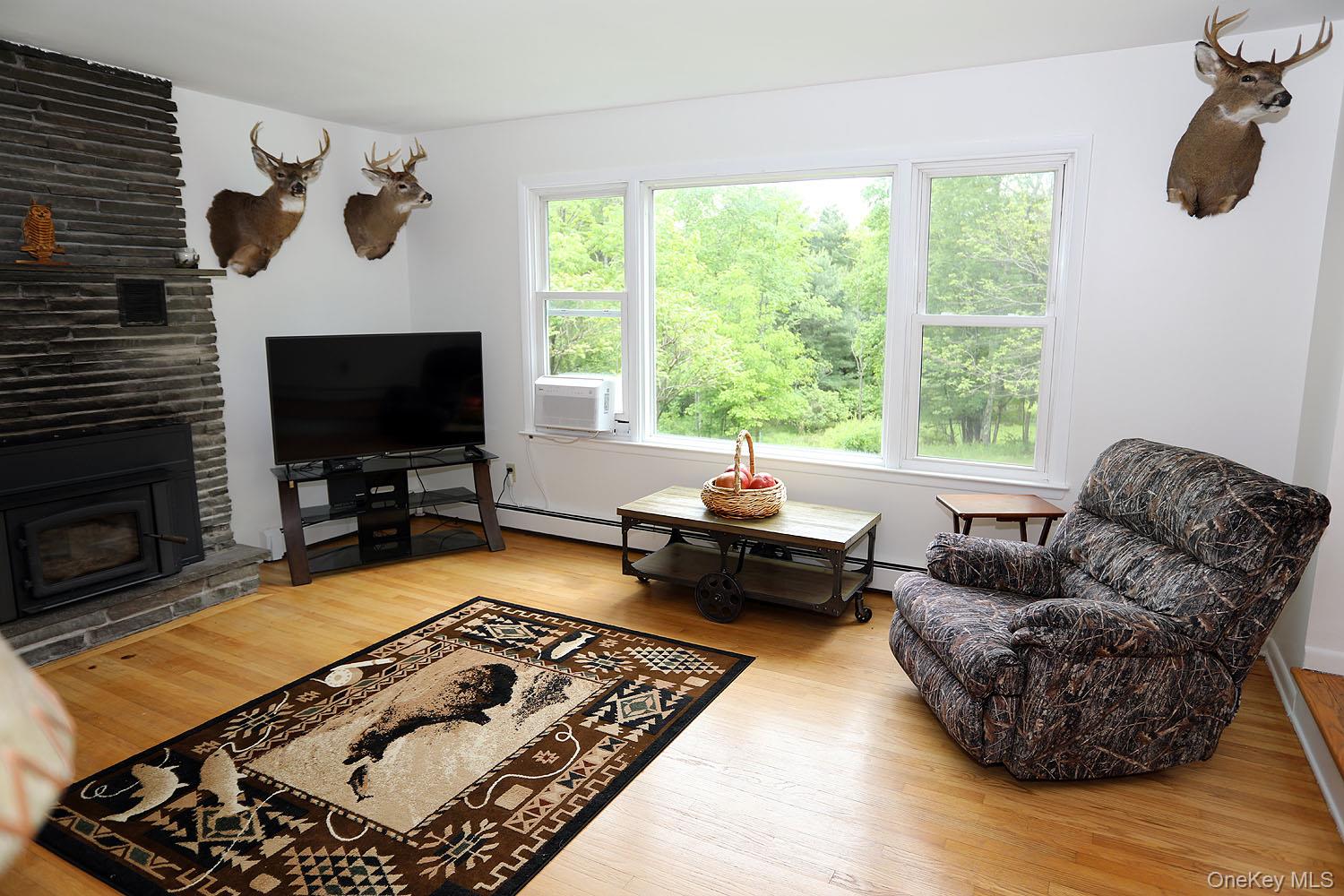 342 Bernas Road, Cochecton, NY 12726