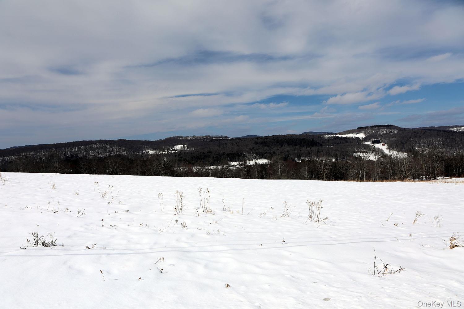 Hubert Road, Jeffersonville, NY 12748