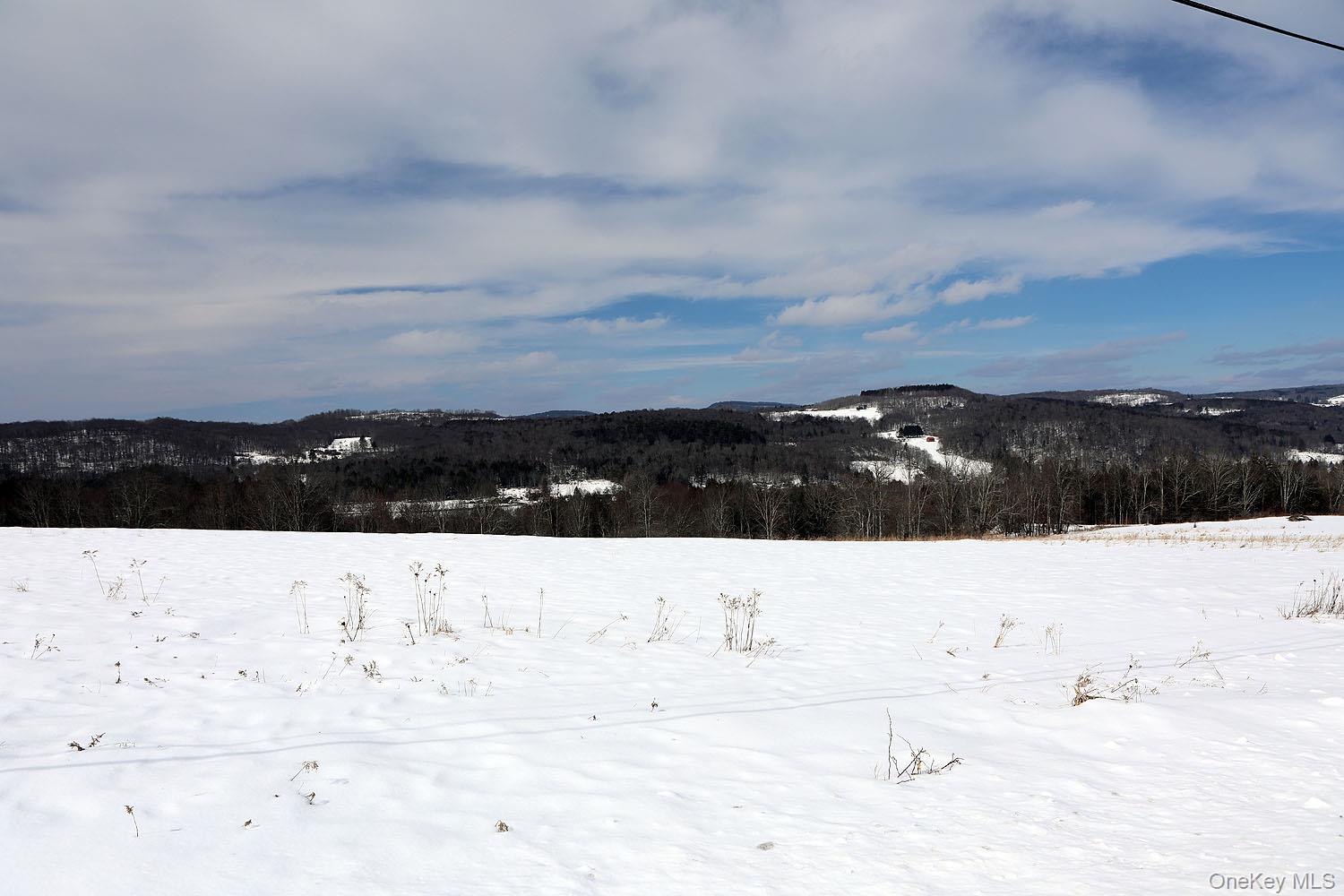 Hubert Road, Jeffersonville, NY 12748