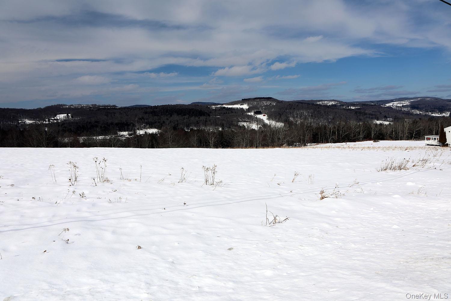 Hubert Road, Jeffersonville, NY 12748