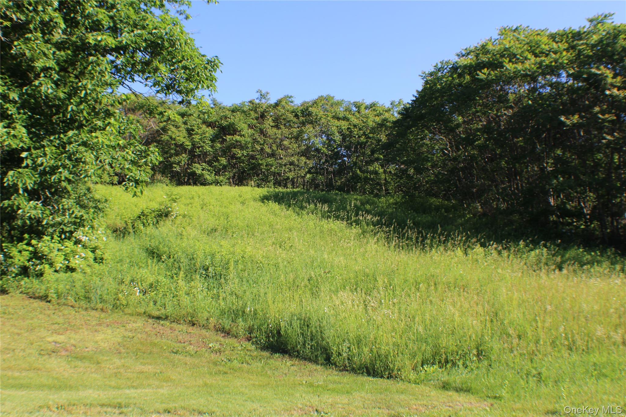 Lot 2 South Centerville Road, Middletown, NY 10940