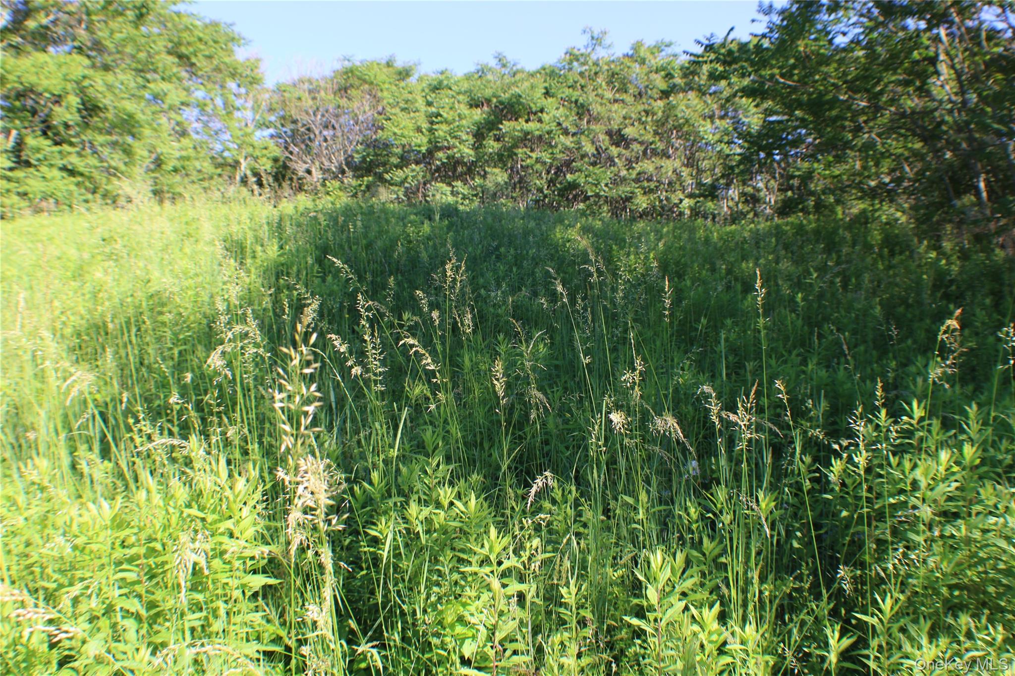 Lot 2 South Centerville Road, Middletown, NY 10940