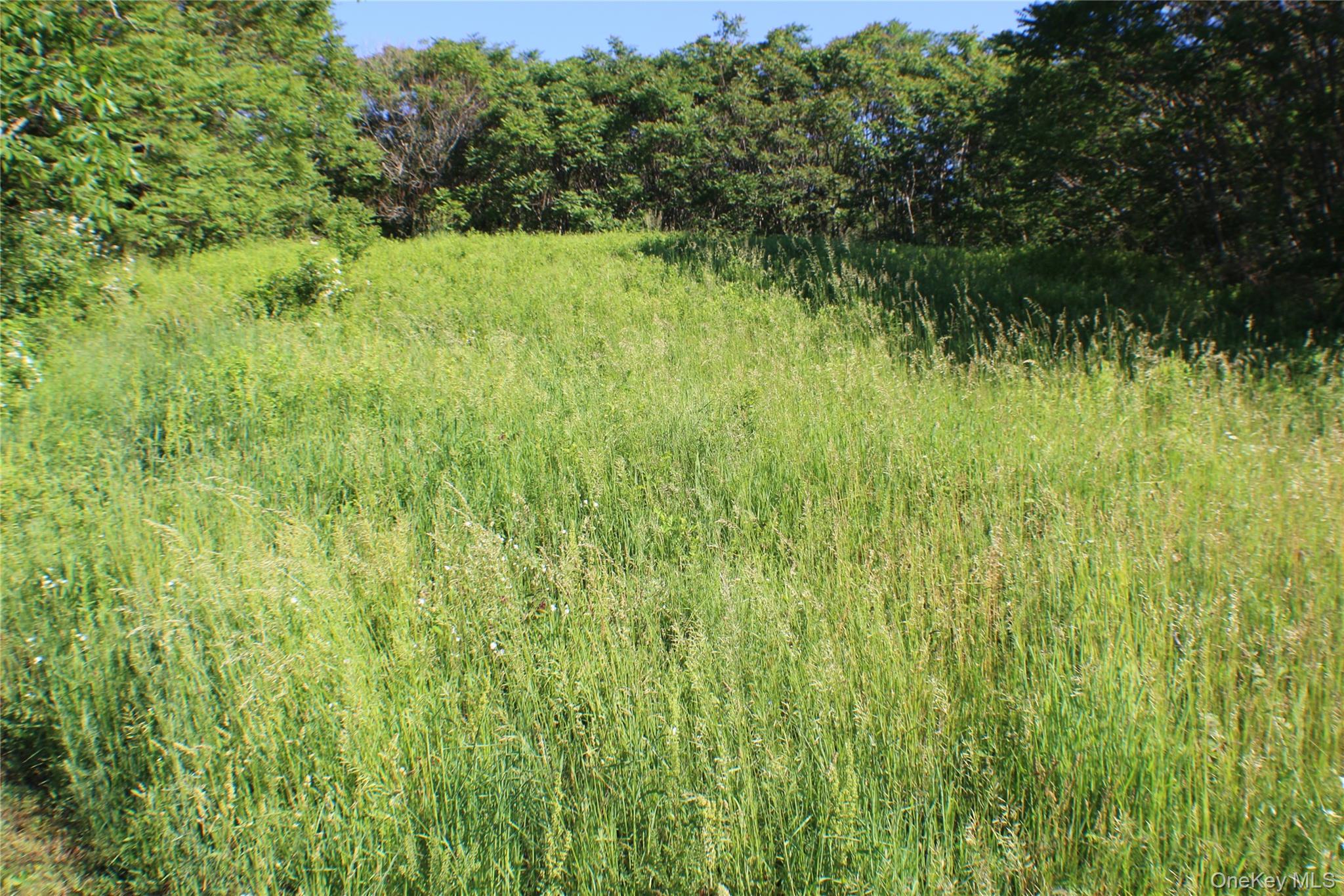 Lot 2 South Centerville Road, Middletown, NY 10940