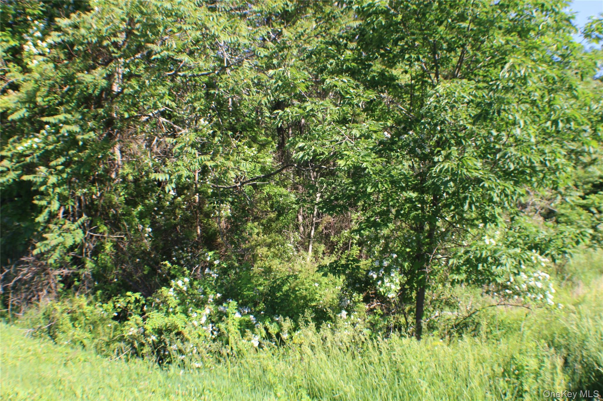 Lot 2 South Centerville Road, Middletown, NY 10940