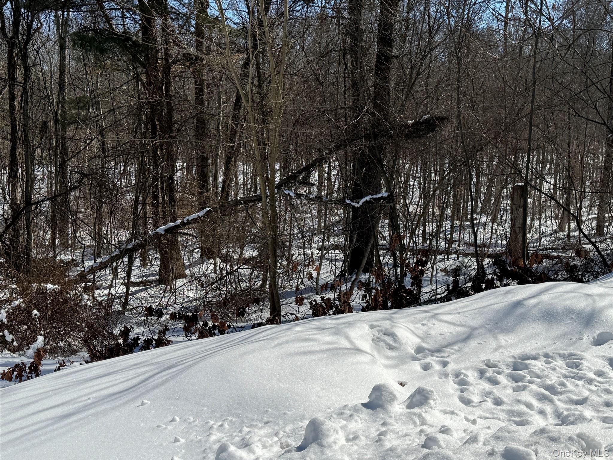 379 Ellen (aka Forest Park) Street, Wallkill, NY 12589