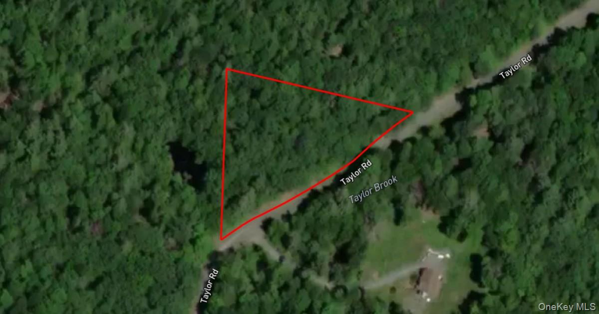 00 Taylor Rd Tr 111, Fallsburg, NY 12733