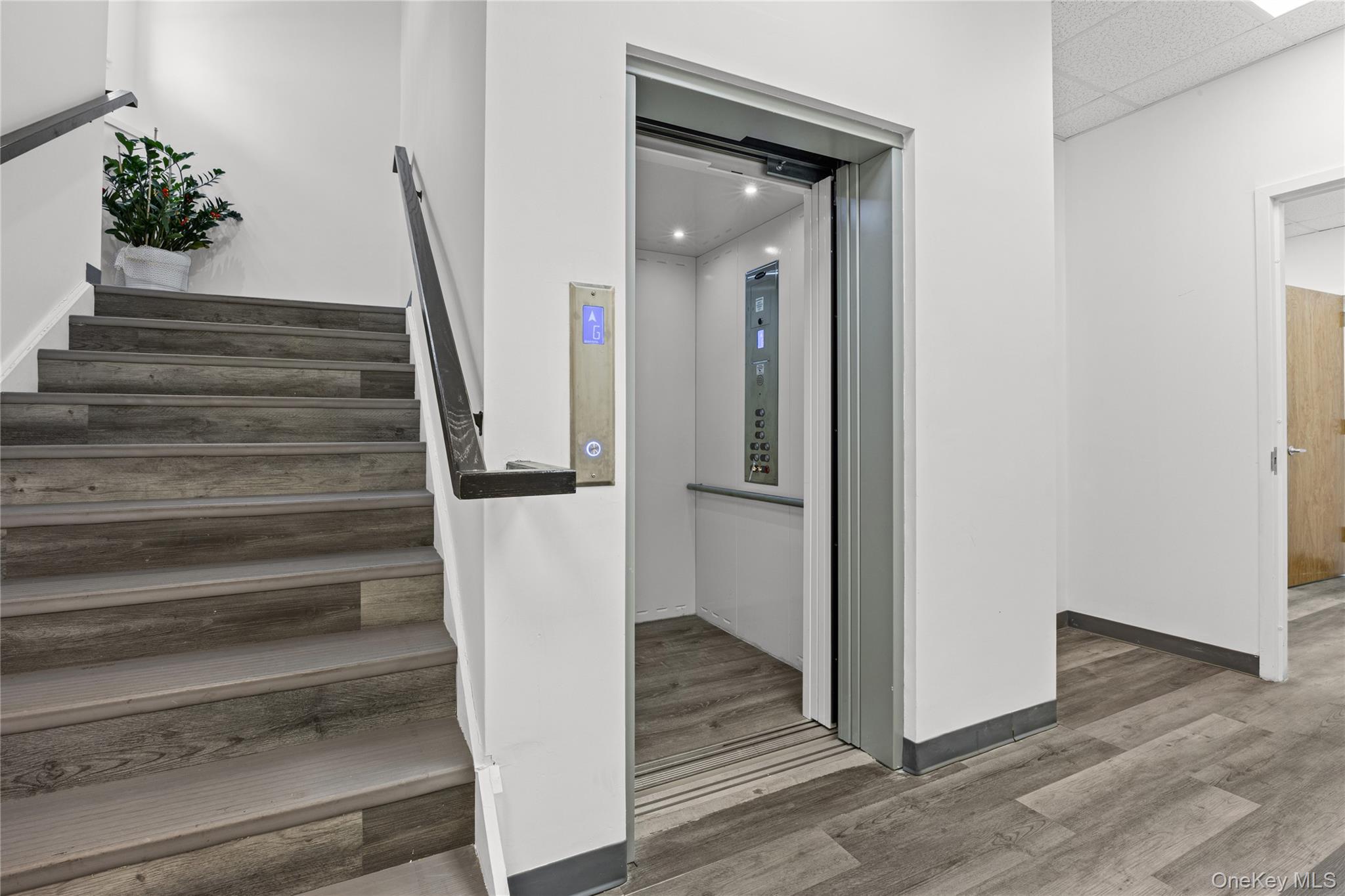 Franklin Square, NY 11010