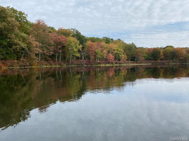 Lot 6 Briarwood Trail, Call Listing Agent, PA 18405