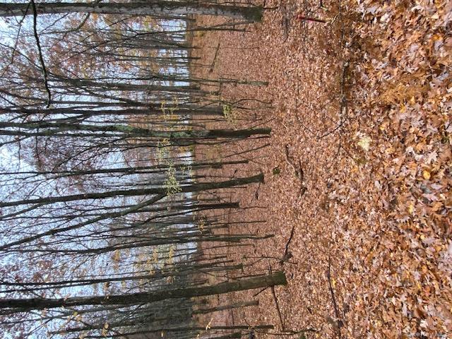 Lot 6 Briarwood Trail, Call Listing Agent, PA 18405