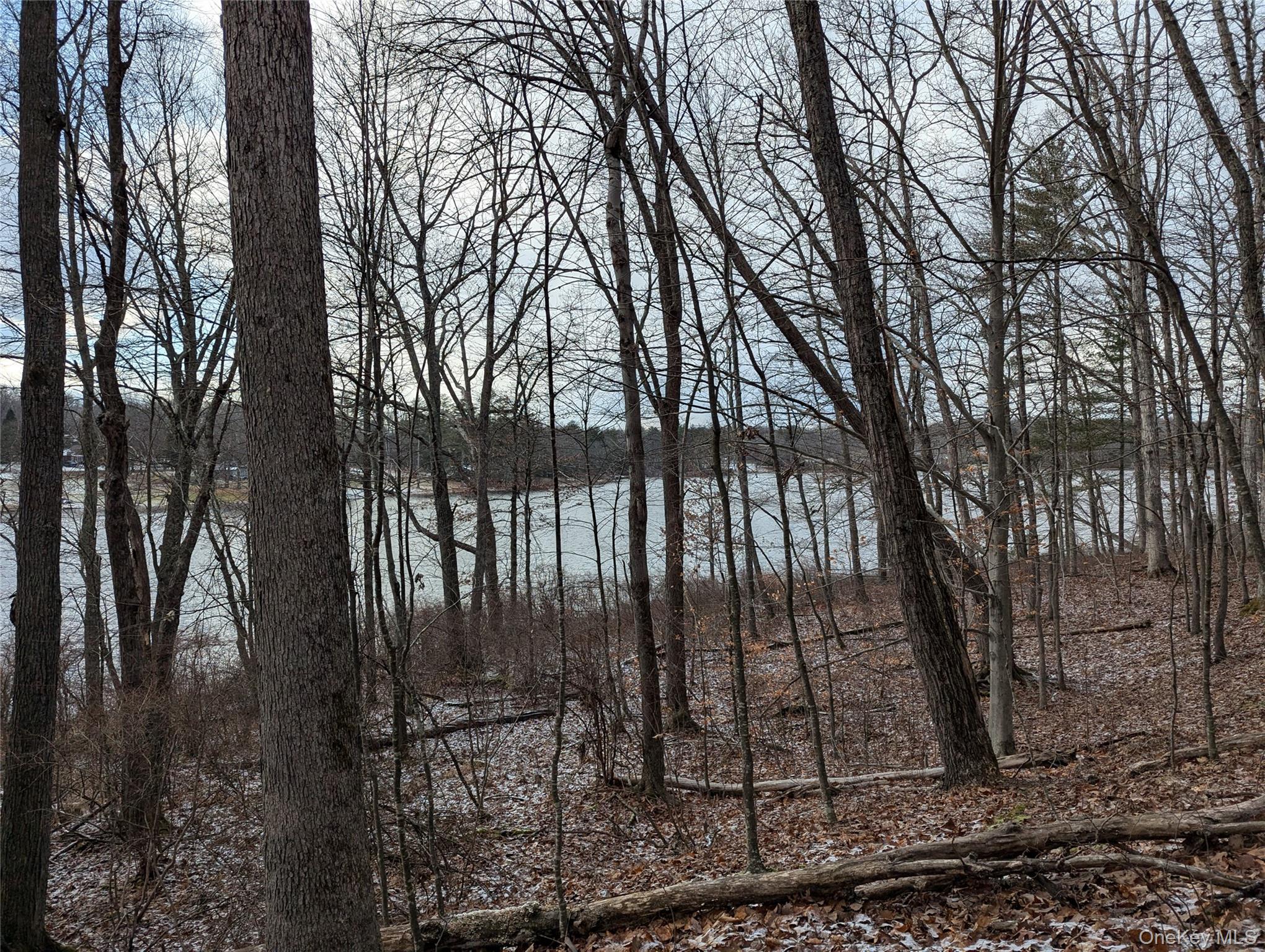 Lot 6 Briarwood Trail, Call Listing Agent, PA 18405