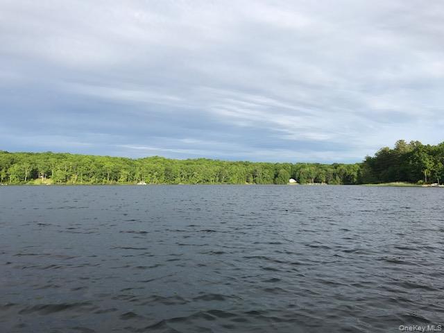 Lot 6 Briarwood Trail, Call Listing Agent, PA 18405