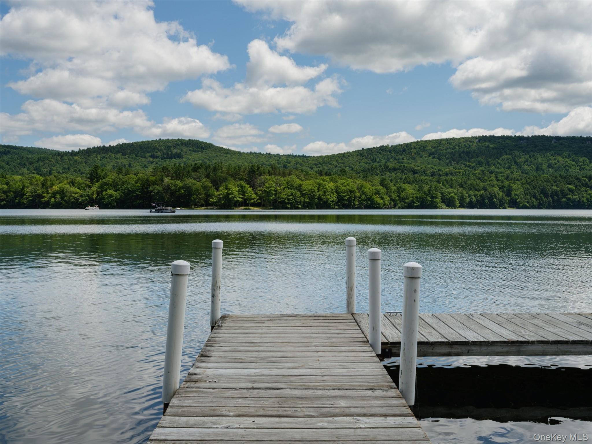 121 Queechy Lake Drive, Canaan, NY 12029