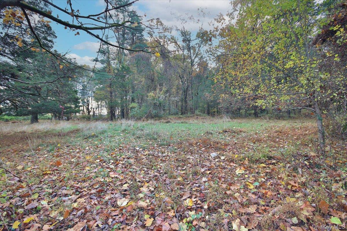 139 Mill Dam Road, Stone Ridge, NY 12484