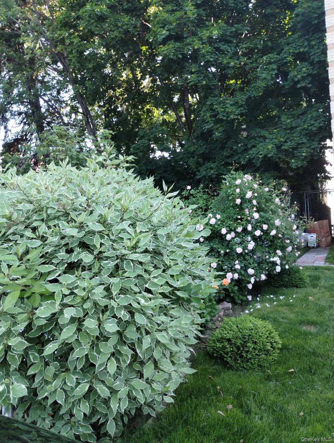 933 Tilden Street, Bronx, NY 10469