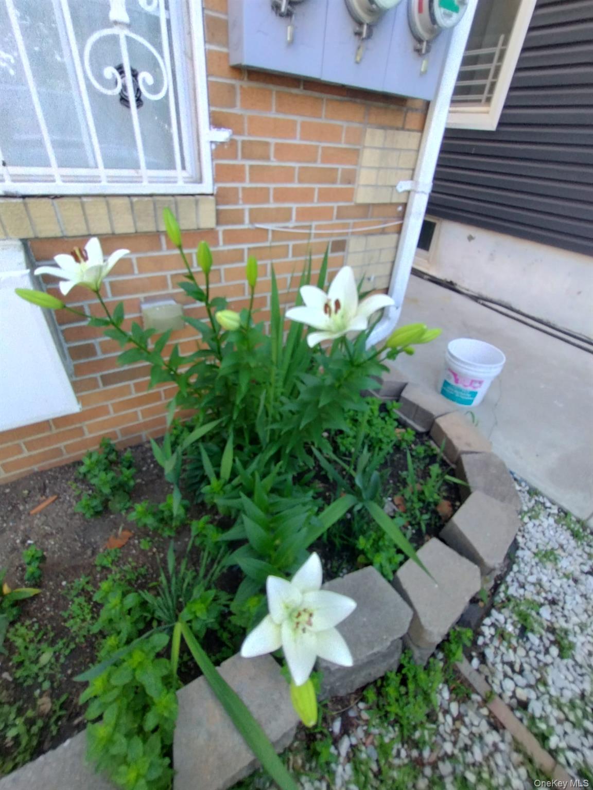 933 Tilden Street, Bronx, NY 10469