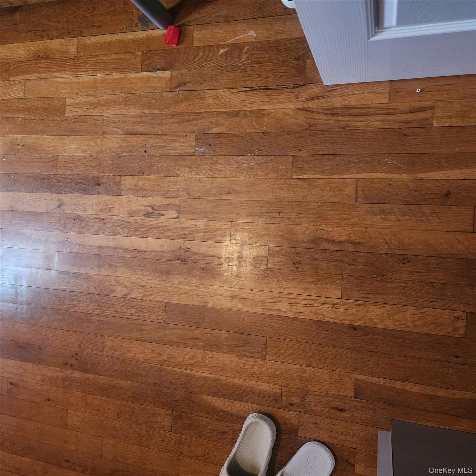 933 Tilden Street, Bronx, NY 10469